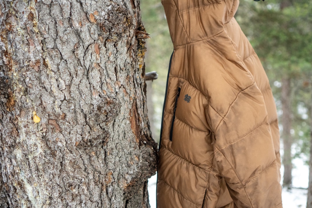 découvrez les solutions d'isolation thermique pour améliorer le confort de votre habitation et réduire vos consommations énergétiques.