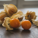 découvrez le physalis, ce fruit miniature enveloppé dans sa cage naturelle, et apprenez tout sur ses caractéristiques, bienfaits et utilisations culinaires.