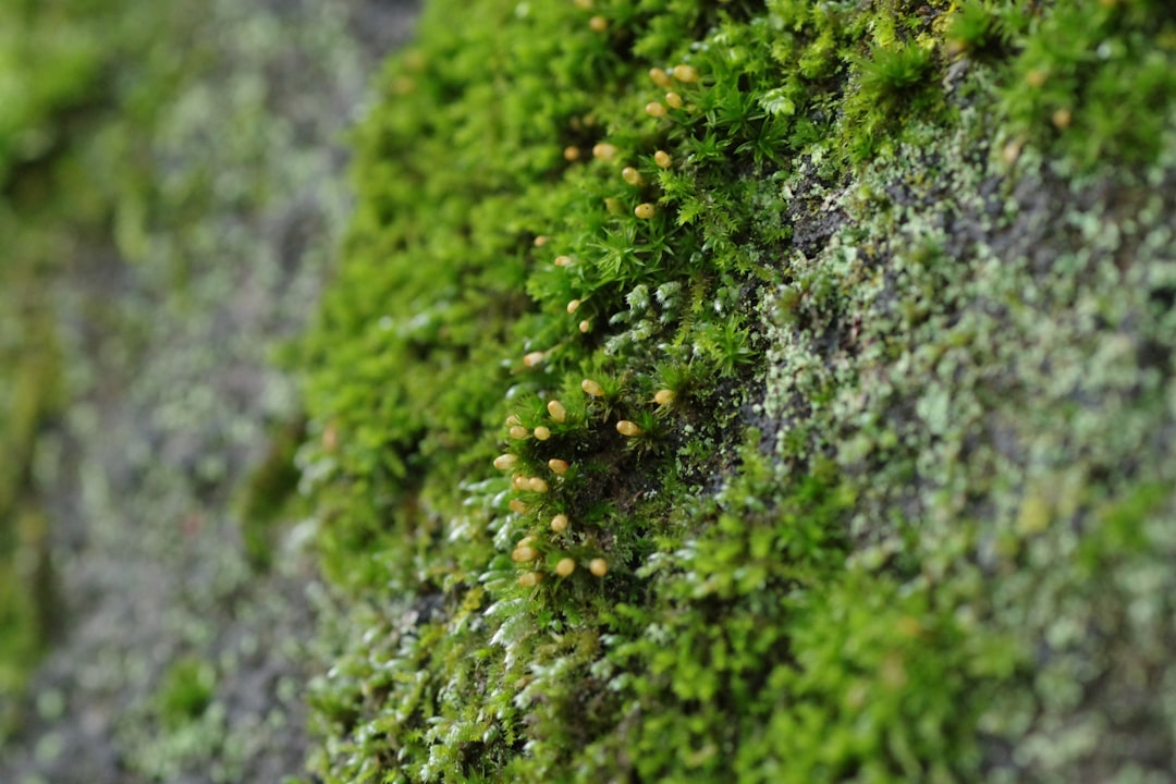 découvrez nos matériaux écologiques, respectueux de l'environnement et durables, idéaux pour vos projets éco-responsables.