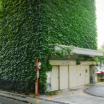 Mur anti-bruit végétal : guide des prix et conseils découvrez notre barrière anti-bruit écologique alliant efficacité acoustique et respect de l'environnement pour un cadre de vie paisible et durable.