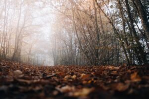 découvrez tout sur l'humidité : définition, impact sur la santé et conseils pour réguler le taux d'humidité dans votre environnement.