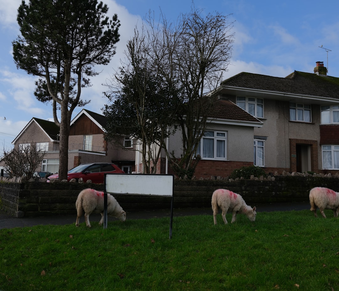 visualisez facilement les superficies de terrain grâce à nos outils interactifs et précis pour une meilleure compréhension spatiale.